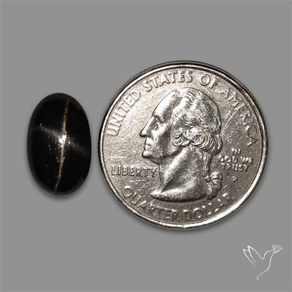 Black Star Diopside Cabochon