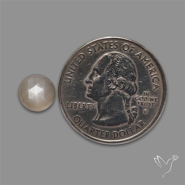 Rose Cut Gray Moonstone