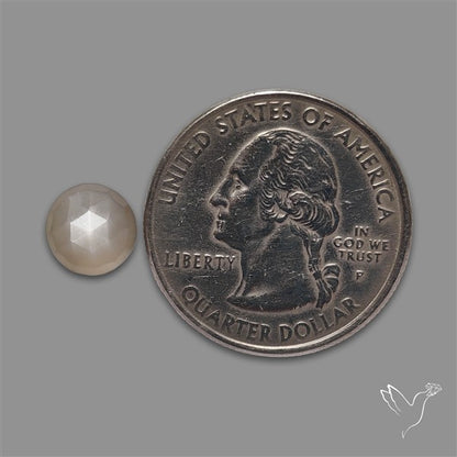 Rose Cut Gray Moonstone