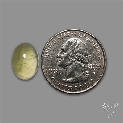 Prehnite Cabochon