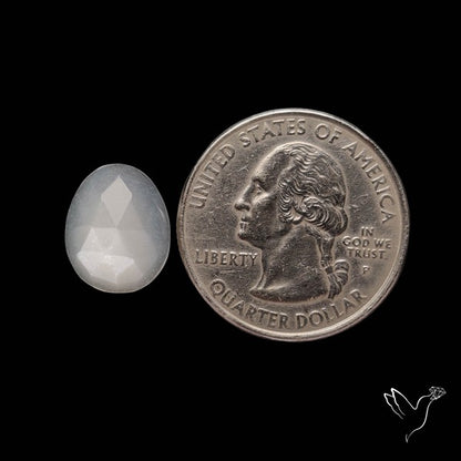 Rose Cut White Moonstone