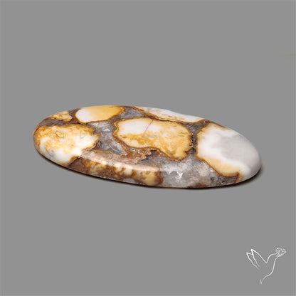 Cobra Jasper Cabochon