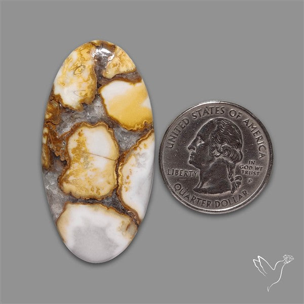 Cobra Jasper Cabochon