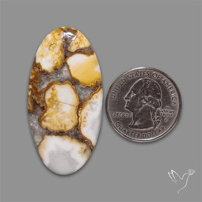 Cobra Jasper Cabochon