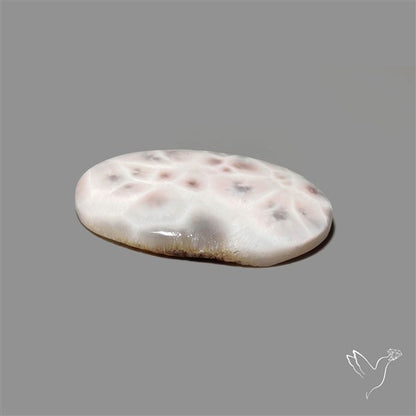 Thomsonite Cabochon