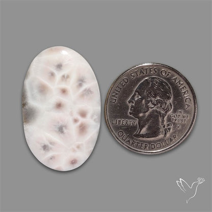Thomsonite Cabochon