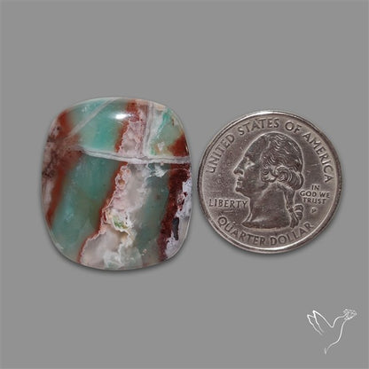 Bi-colour Gemmy Aqua Chrysoprase Cabochon