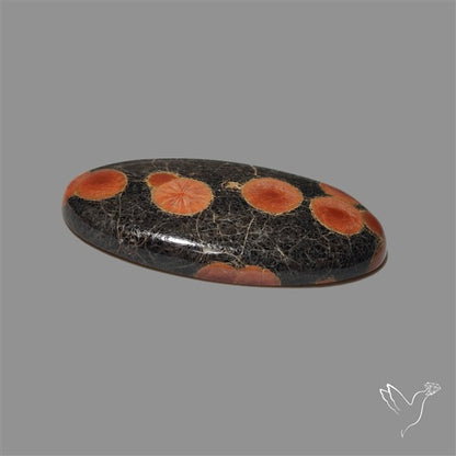 Peanut Obsidian Cabochon