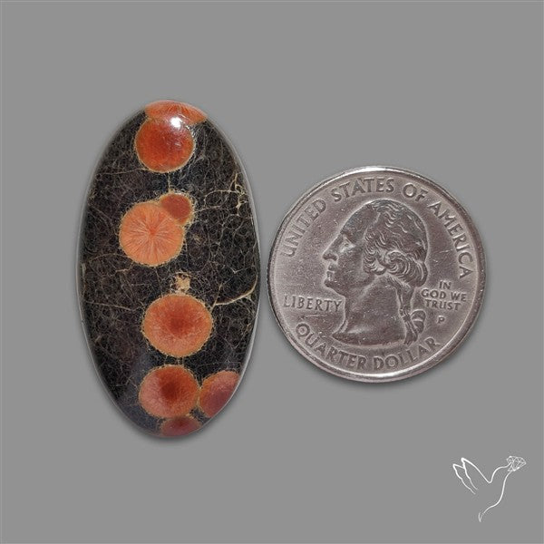 Peanut Obsidian Cabochon