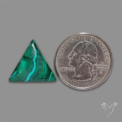 Chrysocolla In Malachite Cabochon