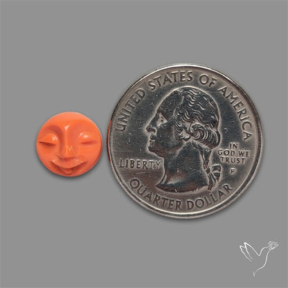 Treated Coral Moonface Carving