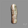 Abalone Shell (Raw)