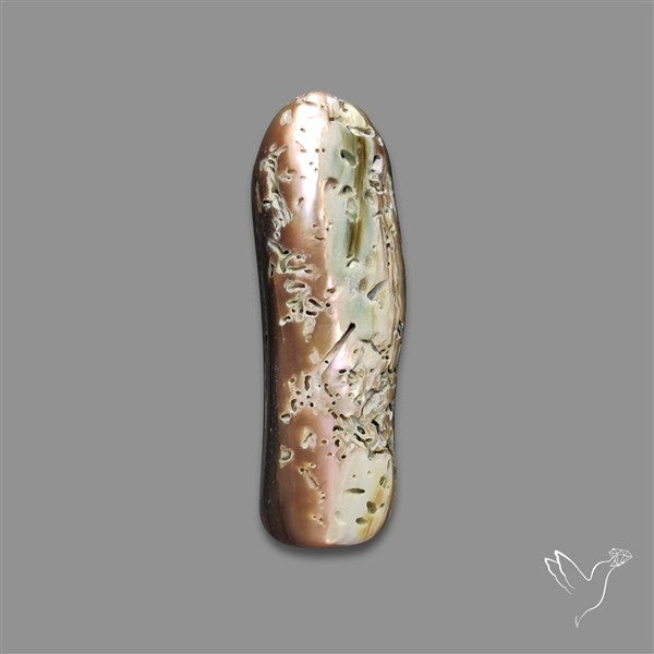 Abalone Shell (Raw)