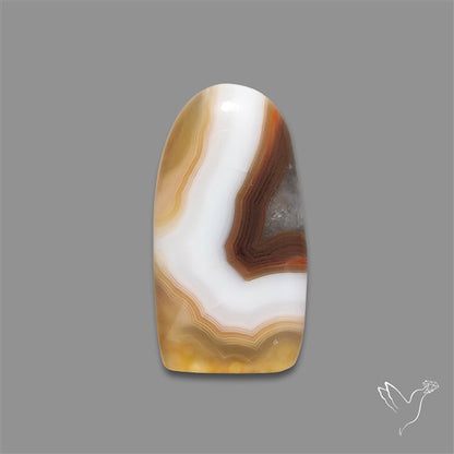 Botswana Agate Cabochon