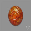 Baltic Amber Mughal Carving