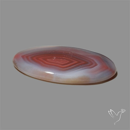 Botswana Agate Cabochon