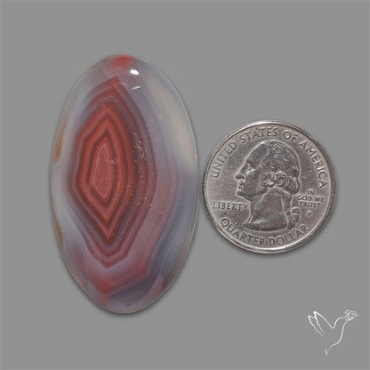 Botswana Agate Cabochon