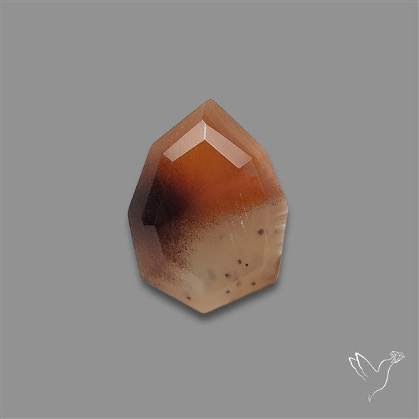 Portrait Cut Montana Agate