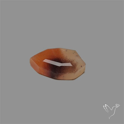 Portrait Cut Montana Agate