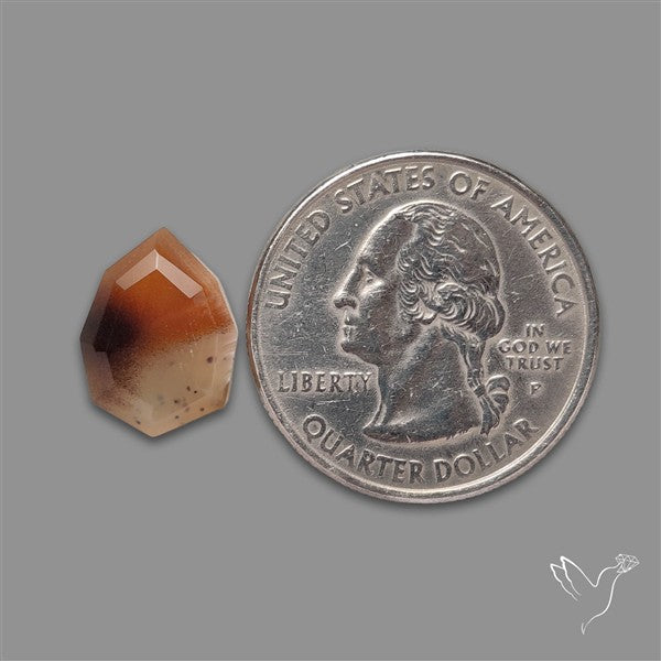 Portrait Cut Montana Agate