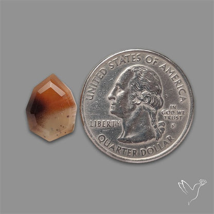 Portrait Cut Montana Agate