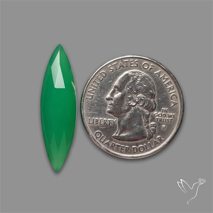 Rose Cut Gemmy Chrysoprase