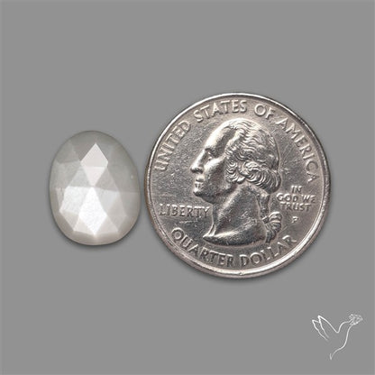 Rose Cut Gray Moonstone