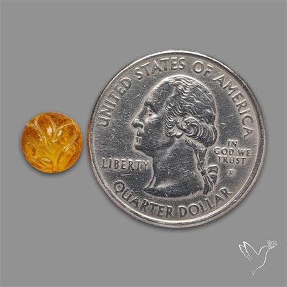 Baltic Amber Mughal Carving