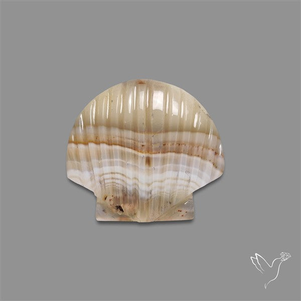 Montana Agate Shell Carving
