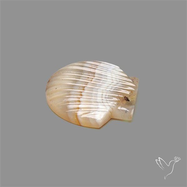 Montana Agate Shell Carving