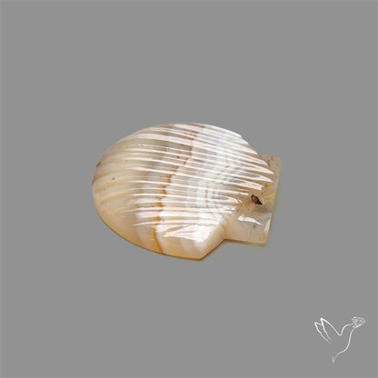 Montana Agate Shell Carving