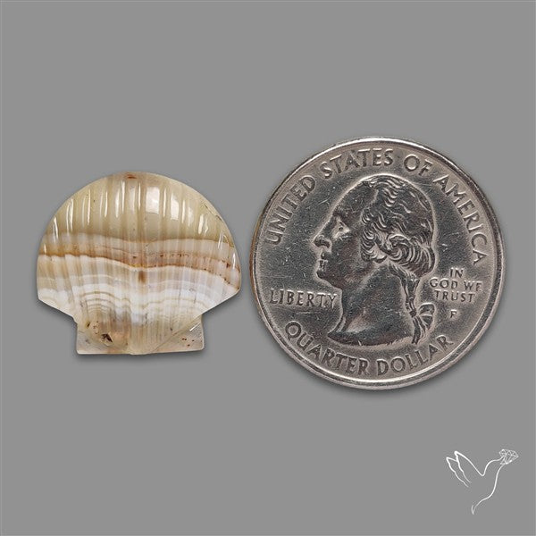 Montana Agate Shell Carving