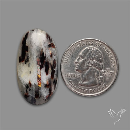 Astrophyllite Cabochon