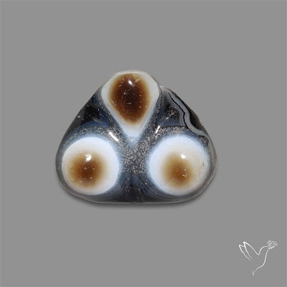 Naturally Occuring Eyes Black Banded Agate