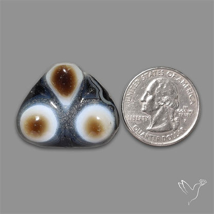 Naturally Occuring Eyes Black Banded Agate