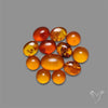 Baltic Amber Cabochons Lot
