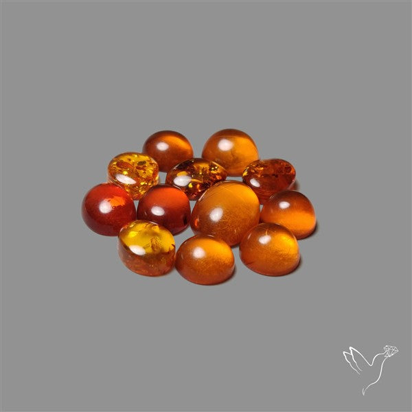 Baltic Amber Cabochons Lot