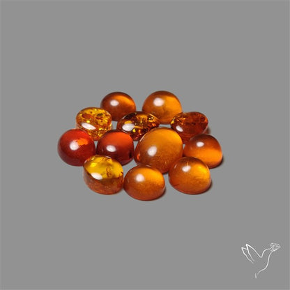 Baltic Amber Cabochons Lot