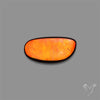 AAA Ammolite Cabochon
