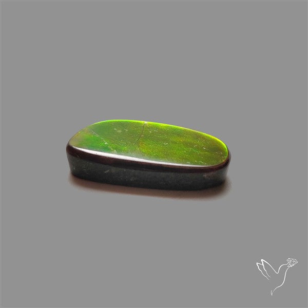 AAA Ammolite Cabochon