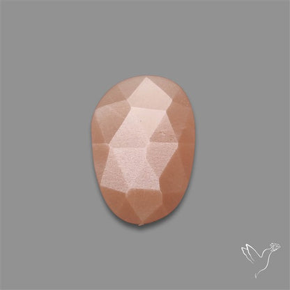 Rose Cut Peach Moonstone