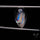 Rare Malawi Moonstone Cabochon