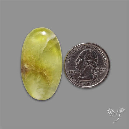 Australian Prehnite Cabochon