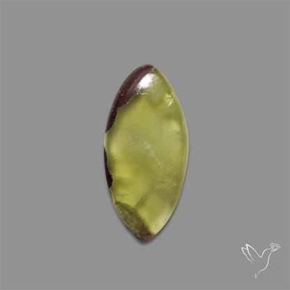 Australian Prehnite Cabochon