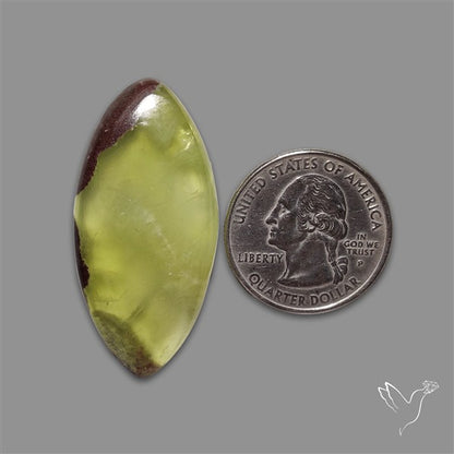 Australian Prehnite Cabochon