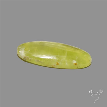 Australian Prehnite Cabochon