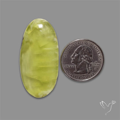 Australian Prehnite Cabochon