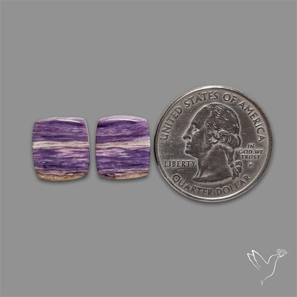Charoite Pair