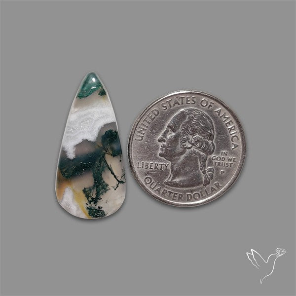 Moss Agate Cabochon