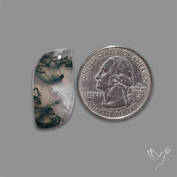 Moss Agate Cabochon